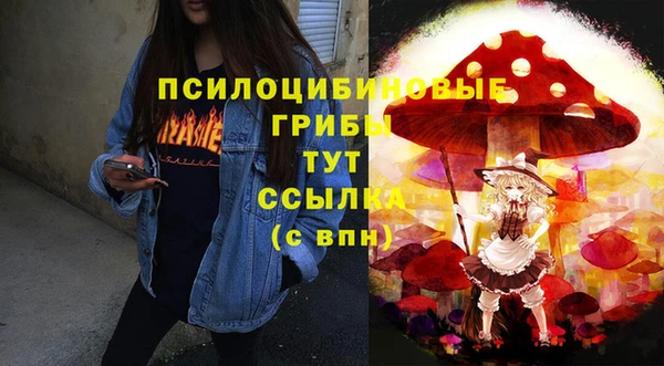 соль курить ск Арсеньев